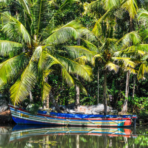 bateaux et houseboat dans le sud de l'Inde sur les backwaters dans le Kerala. WWW.VOYAGEINDIEN.FR