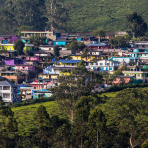 voyagez en inde du sud au travers des cultures de the et des epices dans le kerala et le tamilnadu avec l'agence de voyage thisy-travels www.thisytravels.fr