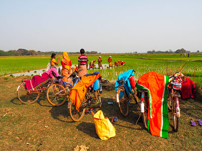 voyagez en orissa ou odisha visiter les campagnes de l'inde avec l'agence de voyage thisy-travels photographier des portraits ainsi que les rizieres et plantations a chandipur www.thisytravels.fr