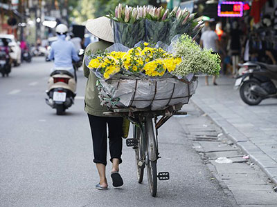 la marché aux fleurs d'Hanoi capitale du vietnam avec les voyages de Thisy-Travels www.thisytravels.fr
