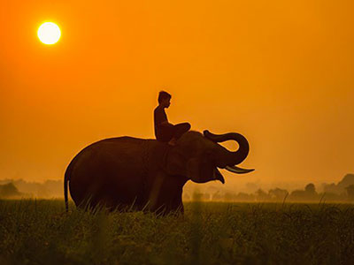 balade à dos d'éléphant avec le trip'kado, le produit de l'agence de voyage thisy-travels sur www.thisytravels.fr