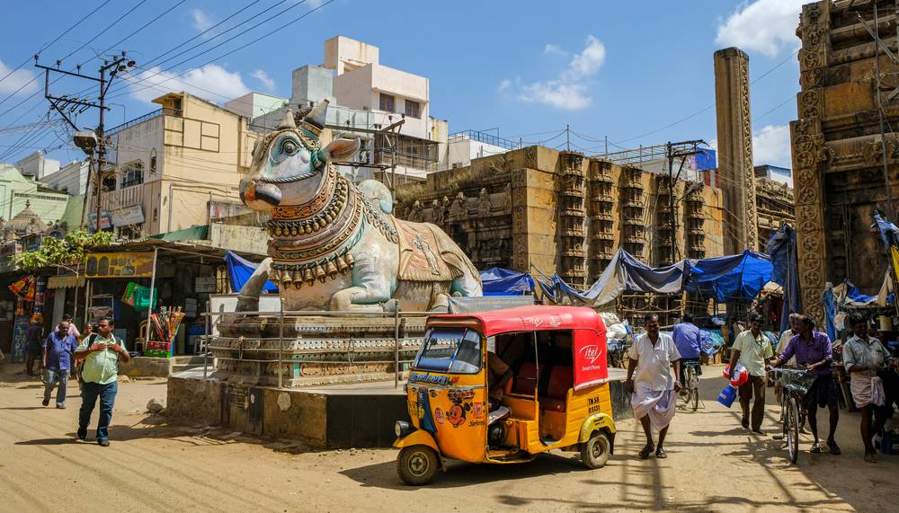 statue d'une vache sacrée en Inde (Madurai)