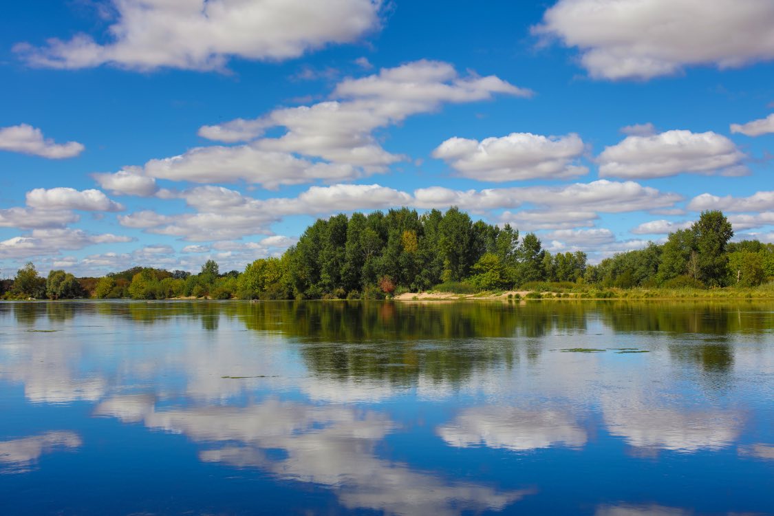 Les rives de la Loire