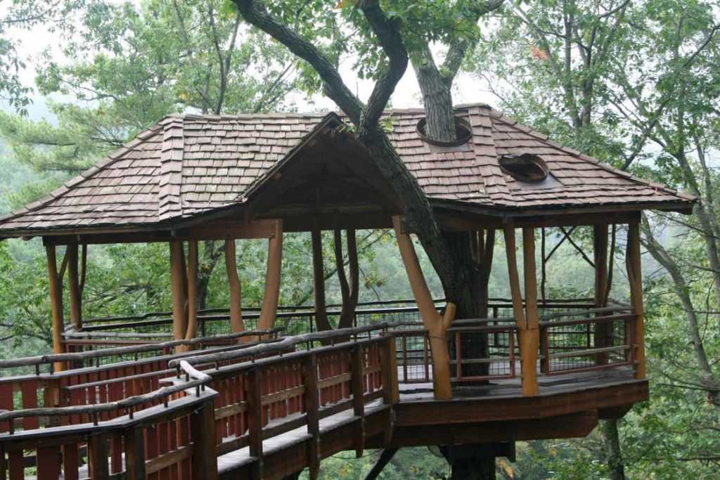 cabane dans les arbres