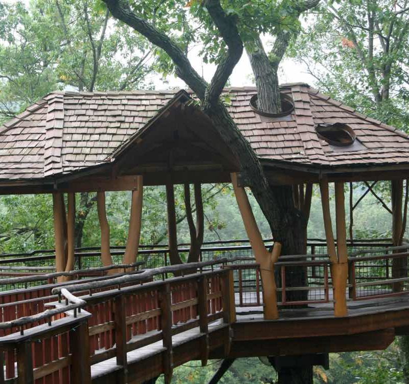 cabane dans les arbres