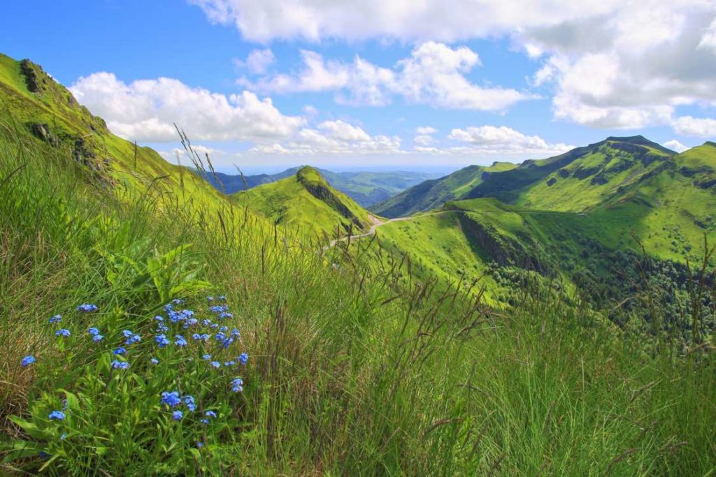 sancy