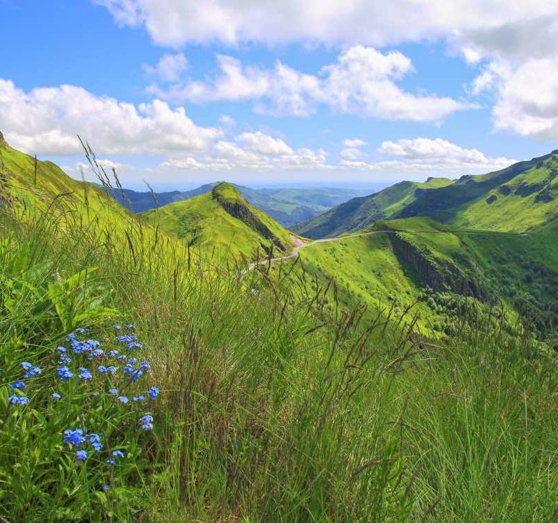 sancy