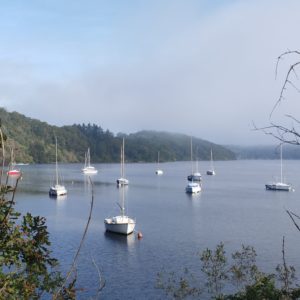 Randonnée "histoire du lac Chambon" Adulte