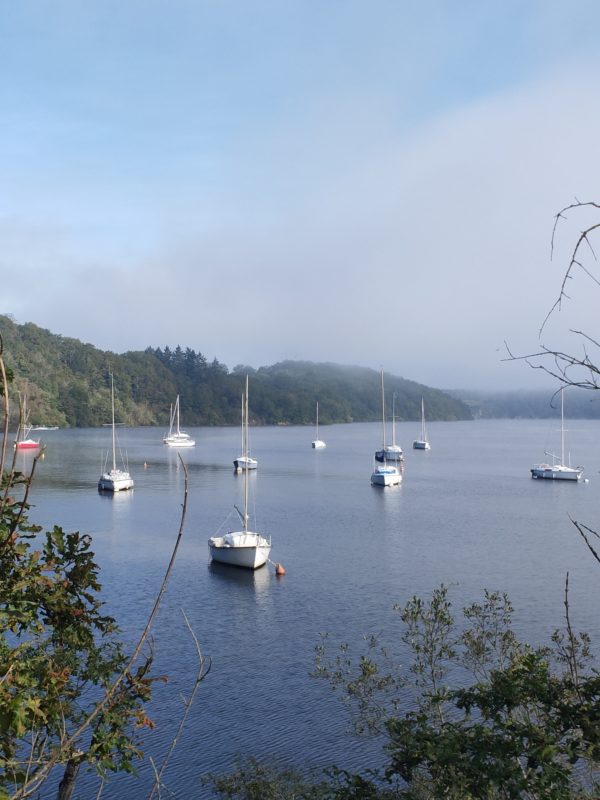 Randonnée "histoire du lac Chambon" Adulte
