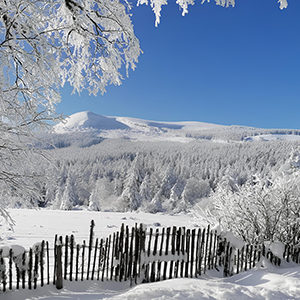 Randonnée raquette dans le CANTAL du 20 AU 22/02/2026