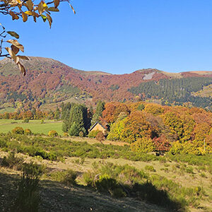 Randonnée dans la vallée du Sancy du 13 AU 15/08/2026