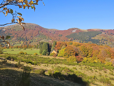 Randonnée dans la vallée du Sancy du 13 AU 15/08/2026