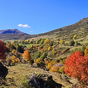 Randonnée dans le MASSIF DU CANTAL, AUX COULEURS D'AUTOMNE