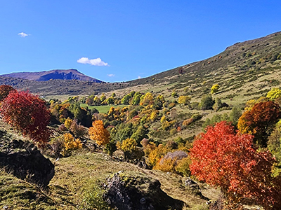 Randonnée dans le MASSIF DU CANTAL, AUX COULEURS D’AUTOMNE